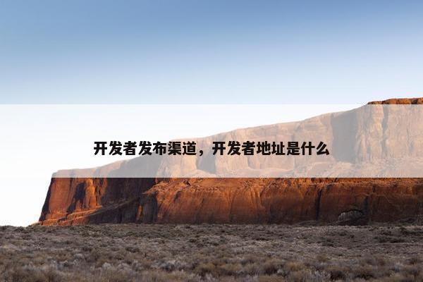 开发者发布渠道，开发者地址是什么