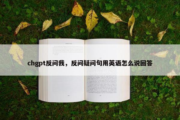 chgpt反问我，反问疑问句用英语怎么说回答