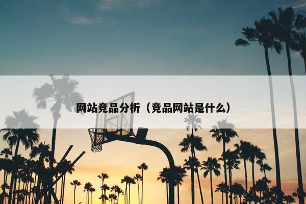网站竞品分析（竞品网站是什么）