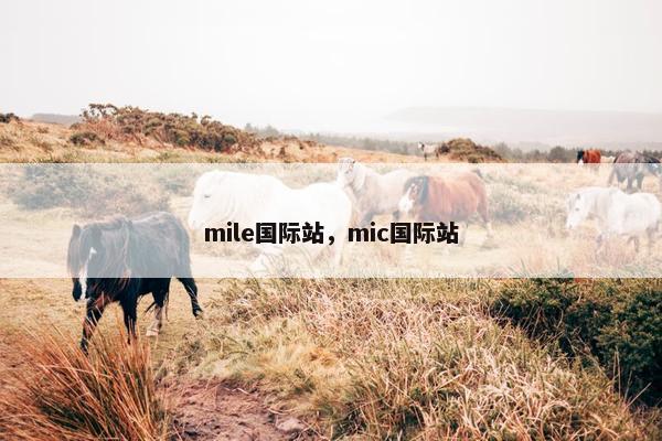 mile国际站，mic国际站