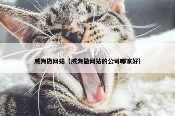 威海做网站（威海做网站的公司哪家好）
