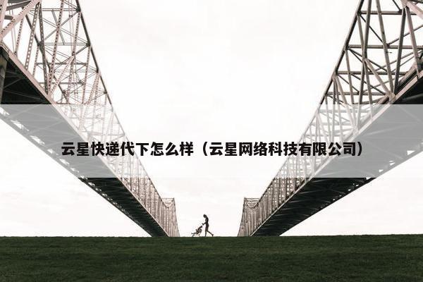 云星快递代下怎么样（云星网络科技有限公司）