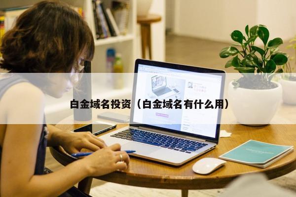 白金域名投资（白金域名有什么用）