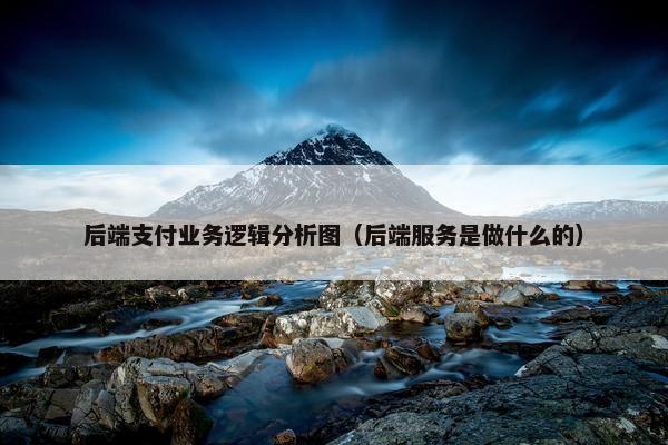 后端支付业务逻辑分析图（后端服务是做什么的）