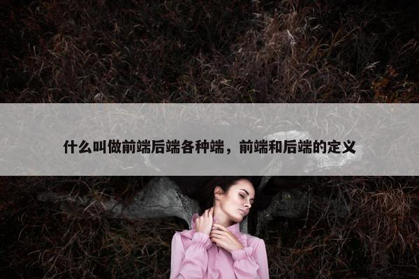 什么叫做前端后端各种端，前端和后端的定义