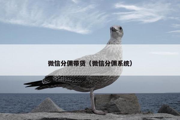 微信分佣带货（微信分佣系统）