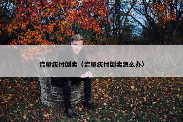流量统付倒卖（流量统付倒卖怎么办）