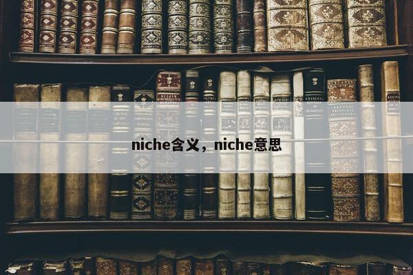 niche含义，niche意思
