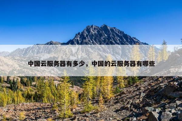 中国云服务器有多少，中国的云服务器有哪些