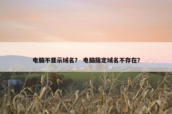 电脑不显示域名？ 电脑指定域名不存在？