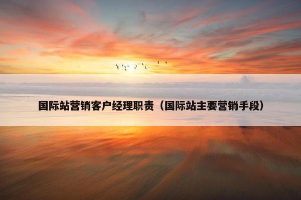 国际站营销客户经理职责（国际站主要营销手段）
