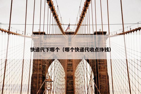 快递代下哪个（哪个快递代收点挣钱）