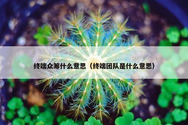 终端众筹什么意思（终端团队是什么意思）