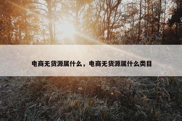 电商无货源属什么，电商无货源属什么类目
