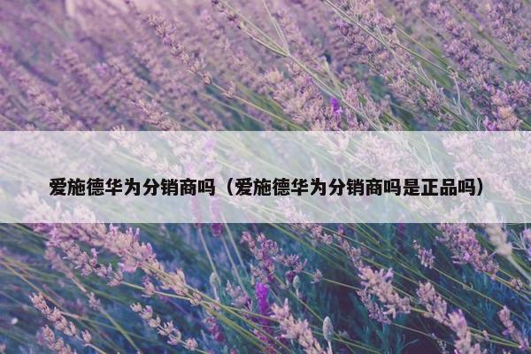 爱施德华为分销商吗（爱施德华为分销商吗是正品吗）