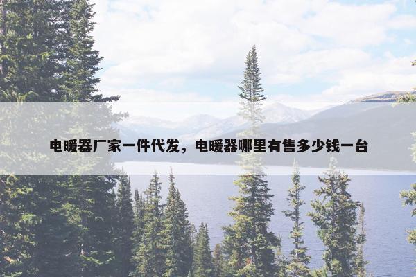 电暖器厂家一件代发，电暖器哪里有售多少钱一台