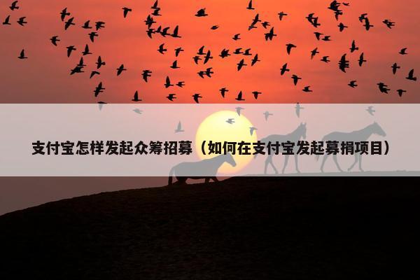 支付宝怎样发起众筹招募（如何在支付宝发起募捐项目）