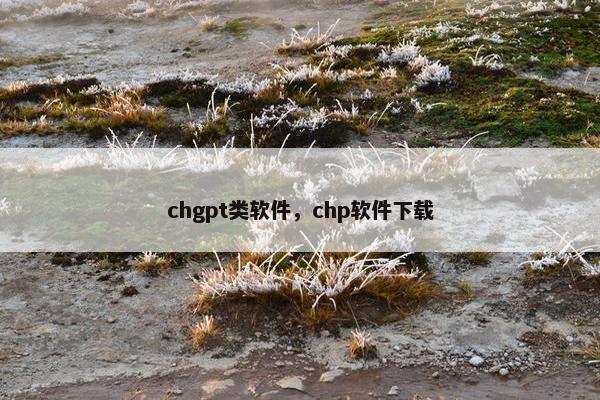 chgpt类软件，chp软件下载