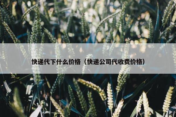 快递代下什么价格（快递公司代收费价格）