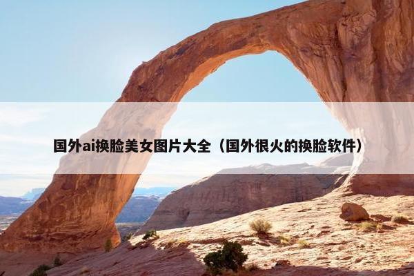 国外ai换脸美女图片大全（国外很火的换脸软件）