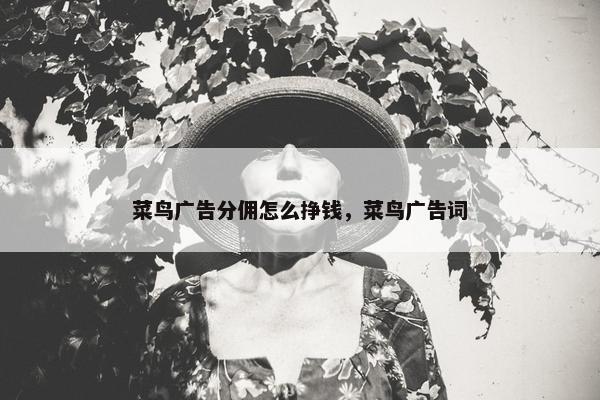 菜鸟广告分佣怎么挣钱，菜鸟广告词