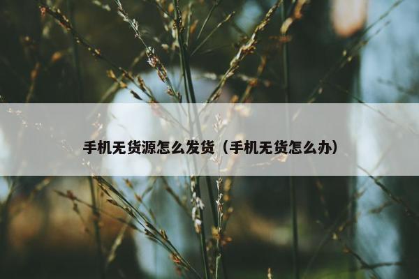 手机无货源怎么发货（手机无货怎么办）