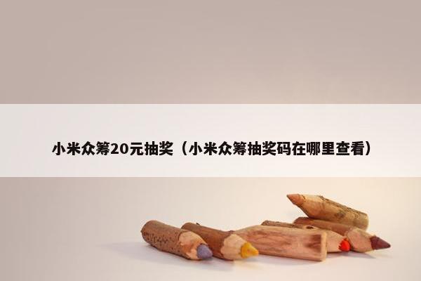 小米众筹20元抽奖（小米众筹抽奖码在哪里查看）
