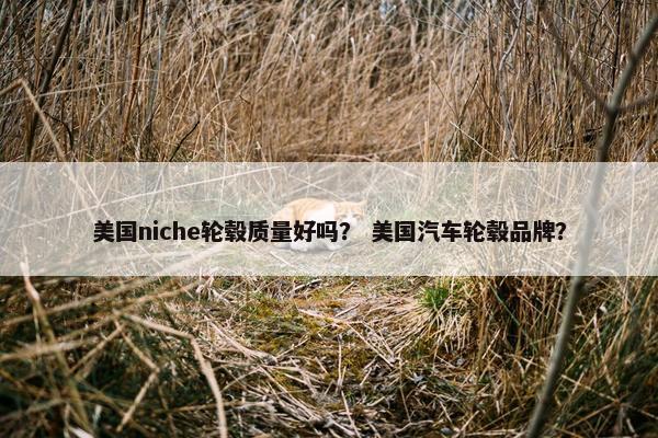 美国niche轮毂质量好吗？ 美国汽车轮毂品牌？