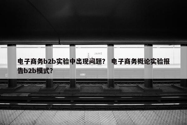 电子商务b2b实验中出现问题？ 电子商务概论实验报告b2b模式？