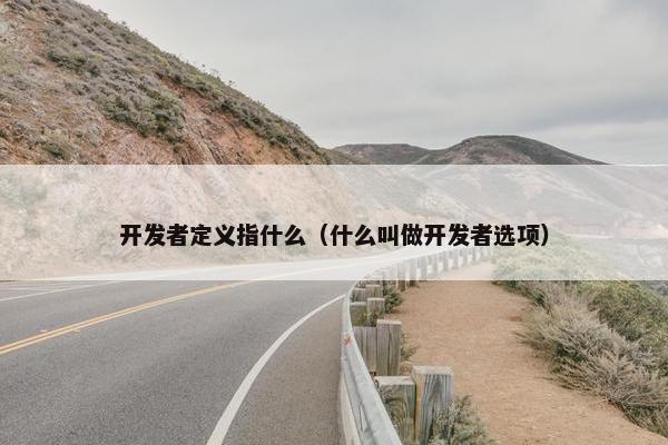 开发者定义指什么（什么叫做开发者选项）