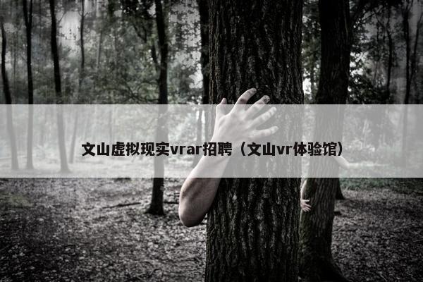 文山虚拟现实vrar招聘（文山vr体验馆）
