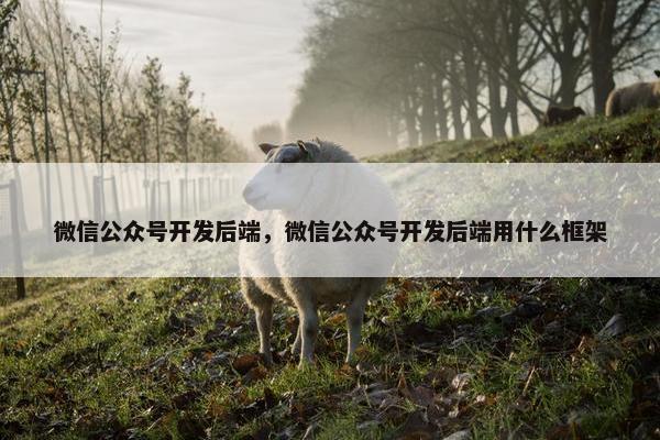 微信公众号开发后端，微信公众号开发后端用什么框架