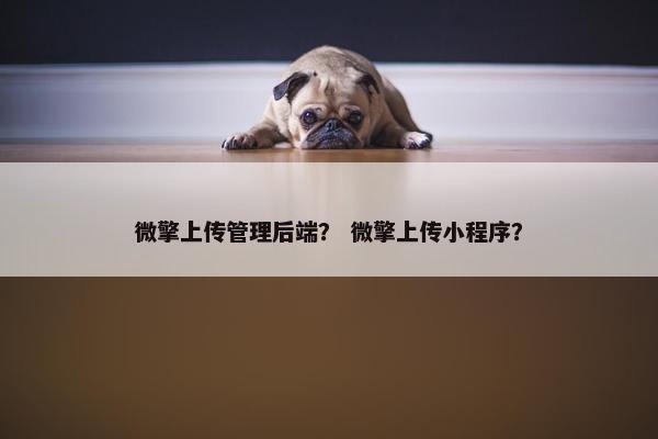 微擎上传管理后端？ 微擎上传小程序？