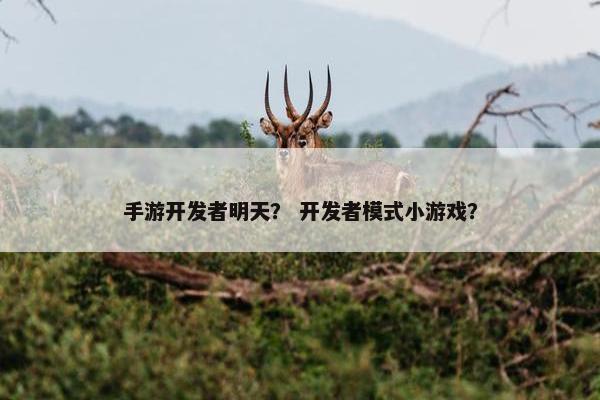 手游开发者明天？ 开发者模式小游戏？