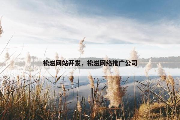 松滋网站开发，松滋网络推广公司