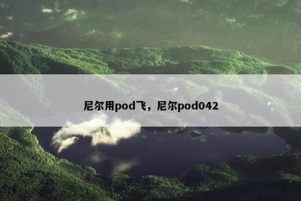 尼尔用pod飞，尼尔pod042