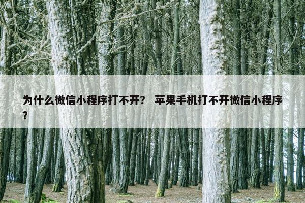 为什么微信小程序打不开？ 苹果手机打不开微信小程序？