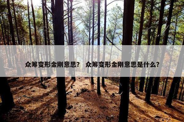 众筹变形金刚意思？ 众筹变形金刚意思是什么？
