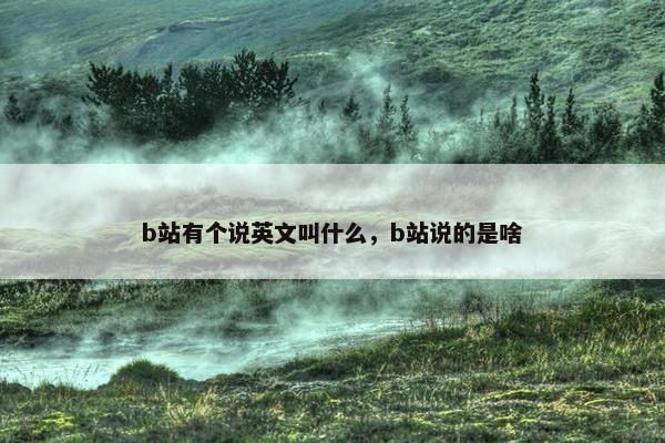 b站有个说英文叫什么，b站说的是啥