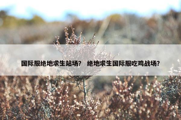 国际服绝地求生站场？ 绝地求生国际服吃鸡战场？