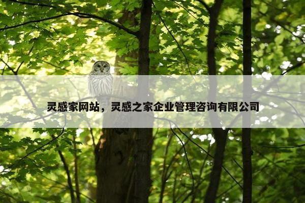 灵感家网站，灵感之家企业管理咨询有限公司