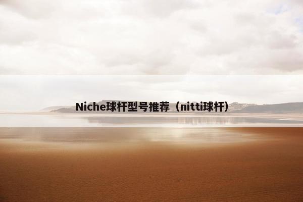 Niche球杆型号推荐（nitti球杆）
