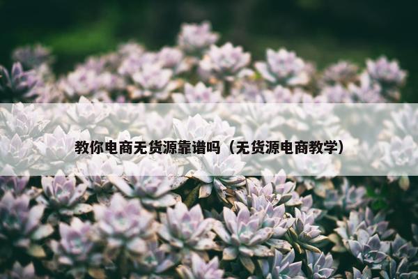 教你电商无货源靠谱吗（无货源电商教学）