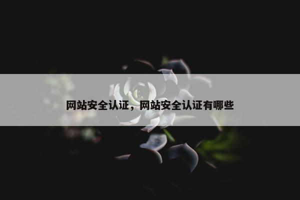 网站安全认证，网站安全认证有哪些