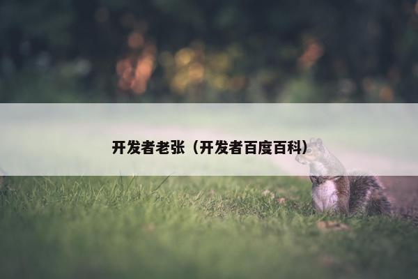 开发者老张（开发者百度百科）