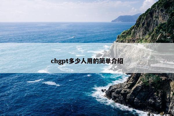 chgpt多少人用的简单介绍