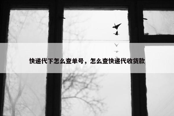 快递代下怎么查单号，怎么查快递代收货款