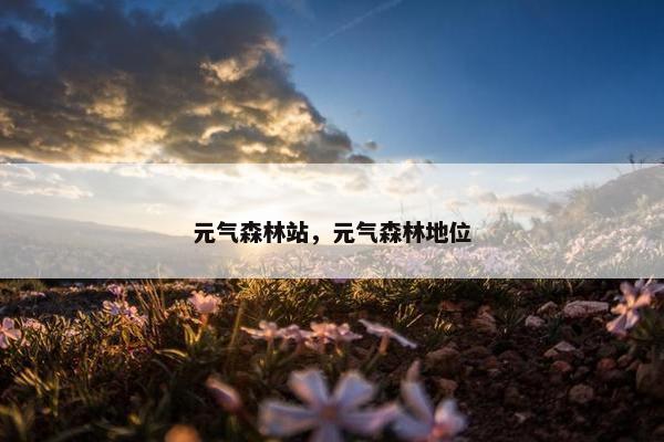 元气森林站，元气森林地位