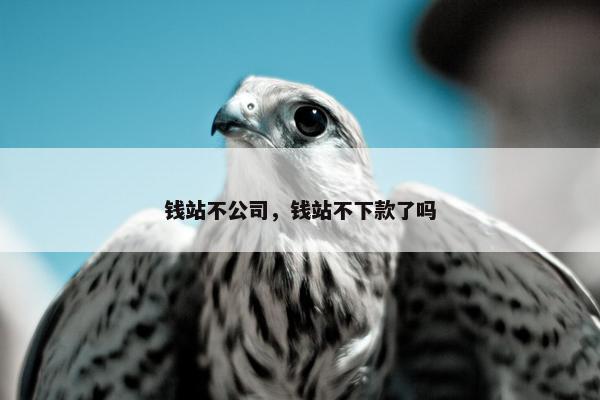 钱站不公司，钱站不下款了吗
