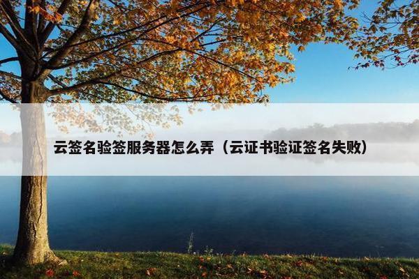 云签名验签服务器怎么弄（云证书验证签名失败）
